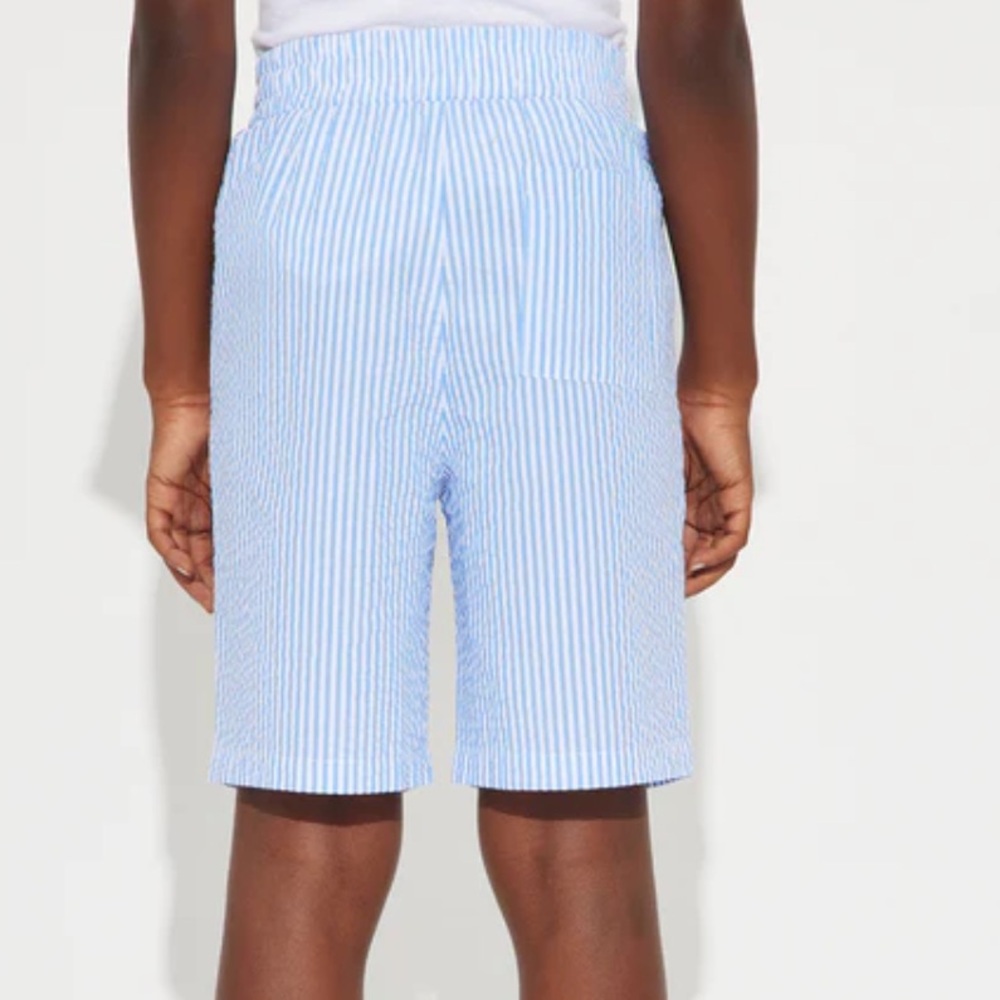Blue and White Striped Shorts